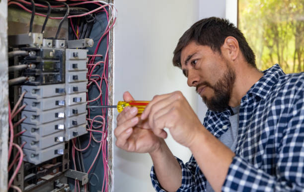 Best Electric Panel Repair  in Seguin, TX